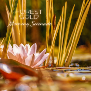 国产我和亲妺作爱69免费观看
