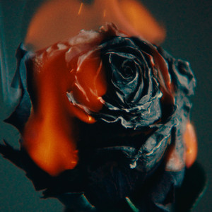 国产我和亲妺作爱69免费观看
